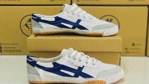 UBND TP.Hà Nội chốt lịch thoái vốn tại Giầy Thượng Đình (GTD), giá khởi điểm cao hơn 35% thị giá