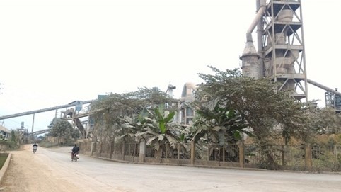 Xi măng Bắc Giang bị phạt hơn 100 triệu đồng vì không có website và che giấu báo cáo tài chính