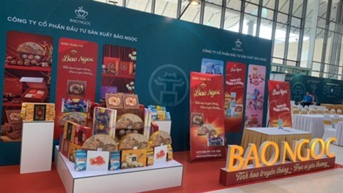 Tập đoàn Đầu tư Bảo Ngọc (BNA): Dòng tiền âm nặng, nợ phải trả gấp đôi vốn chủ sở hữu, nhiều dự án chậm tiến độ