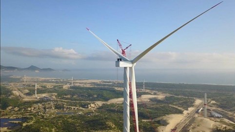 Halcom Việt Nam (HID) chi 178 tỷ đồng gom cổ phần điện mặt trời giữa đợt biến động thị giá