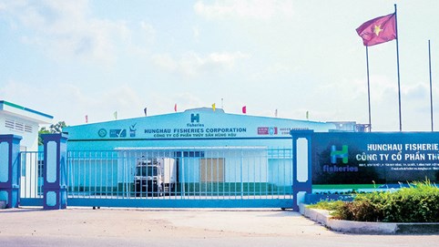 Nông nghiệp Hùng Hậu (SJ1): Doanh thu vượt 2.400 tỷ đồng, gánh nặng lãi vay bào mòn lợi nhuận