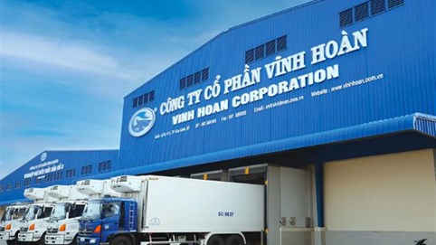 Vĩnh Hoàn (VHC): Cổ phiếu giảm 14%, con gái Chủ tịch chi hơn 300 tỷ đồng mua vào