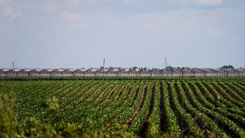 Vỡ mộng cần sa