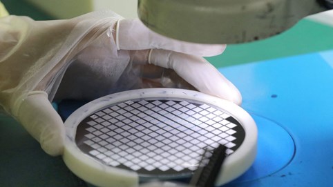 Tình trạng thiếu chip toàn cầu: Doanh nghiệp lao đao, người môi giới trung gian hưởng lợi