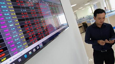 Chứng khoán 21/10: Áp lực bán tháo tăng mạnh, 234 mã giảm sàn