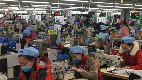 Khuyến nghị chưa nên tăng lương tối thiểu vùng năm 2021