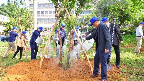 Novaland chung tay cùng Lâm Đồng trồng 50 triệu cây xanh