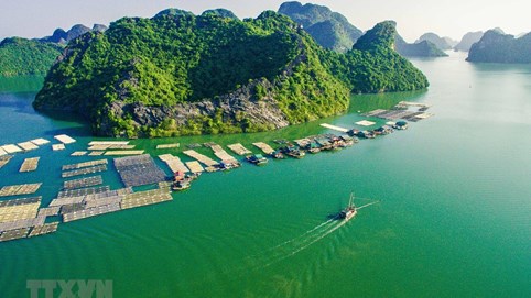 Dịch Covid-19: Hải Phòng dừng tổ chức tất cả các hoạt động lễ, hội