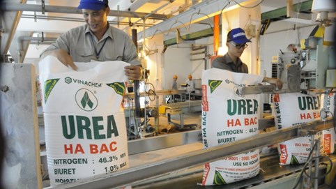 Phân đạm và hóa chất Hà Bắc (DHB) lãi giảm 71,5% so với cùng kỳ
