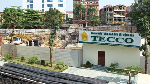 Tecco Group - Đại gia bất động sản quy mô hàng nghìn tỷ nhưng lợi nhuận bèo bọt