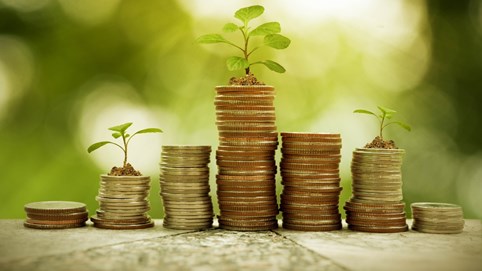 Nhiều doanh nghiệp 