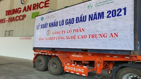 Nông nghiệp công nghệ cao Trung An (TAR) doanh thu tăng 90% so với cùng kỳ