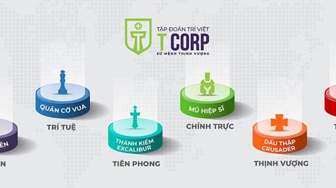 Tập đoàn Quản lý Tài sản Trí Việt (TVC) tổ chức ĐHĐCĐ bất thường, miễn nhiệm thành viên vướng án thao túng chứng khoán