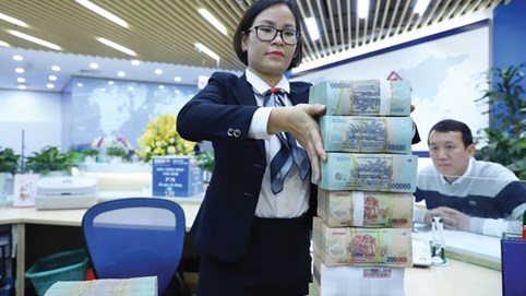 VDSC: Lãi suất đồng loạt giảm dù NHNN hút thanh khoản mạnh kỷ lục