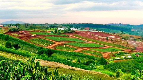 Nhiều nhà đầu tư “sống dở chết dở” khi ôm đất giá cao, vừa xuống tiền thị trường đã hạ nhiệt