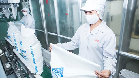 “Tấm lá chắn” cho ngành mía đường