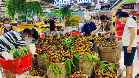 Hệ thống Vinmart dự kiến tiêu thụ 2.000 tấn vải thiều Lục Ngạn - Bắc Giang, phân phối trên cả Lazada