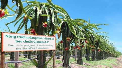 Hoàng Anh Gia Lai (HAG) của bầu Đức đã tất toán xong toàn bộ số nợ 930 tỷ tại HDBank