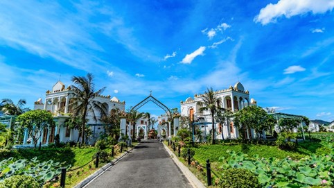 Tập đoàn Đầu tư Thăng Long (TIG) chào bán 30 triệu cổ phiếu riêng lẻ, dành ¼ cho Chủ tịch với mức thấp hơn thị giá 40%