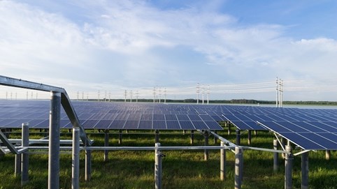 Xuân Cầu và Tập đoàn Thái Lan “chia đôi” điện mặt trời Dầu Tiếng