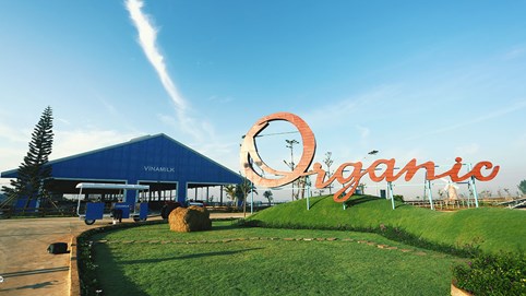 Vinamilk chia cổ tức đợt 1 bằng tiền với tỷ lệ 15%