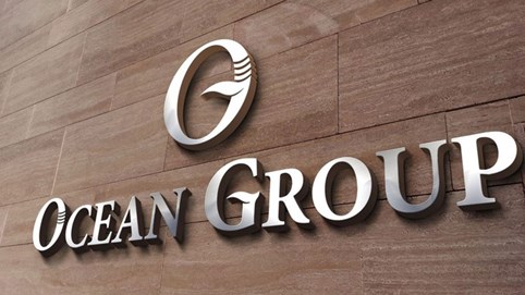 Vì sao kiểm toán nghi ngờ về khả năng hoạt động liên tục của Ocean Group (OGC)?
