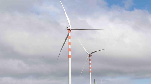 Đắk Nông duyệt đầu tư ba nhà máy điện gió với tổng vốn hơn 10.500 tỷ đồng