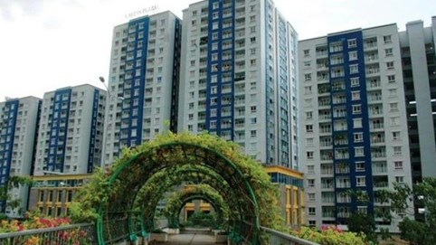 Năm Bảy Bảy (NBB) dự kiến phát hành 50 triệu cổ phiếu