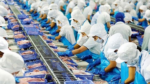 Đem tiền nhàn rỗi đi đầu tư chứng khoán, đại gia thuỷ sản lãi hàng chục tỷ đồng