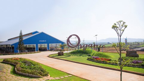 Vinamilk quyết định bán hết cổ phiếu quỹ, hoàn thành 76% kế hoạch doanh thu sau 9 tháng