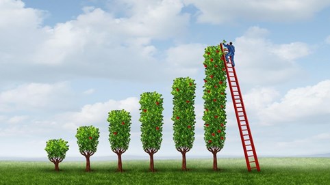 Pha đảo chiều ngoạn mục