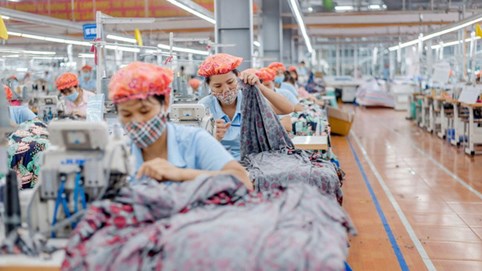 May Sông Hồng (MSH) chốt quyền tạm ứng cổ tức tiền tỷ lệ 45%, hoàn thành kế hoạch năm sau 9 tháng