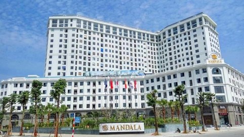 Vốn khủng nhưng lãi bèo bọt, Apec Group làm ăn ra sau trước khi bị phạt vì bán “chui” trái phiếu?