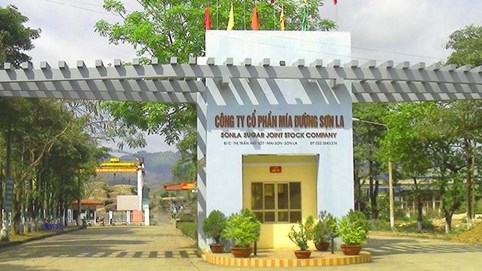 Mía đường Sơn La (SLS) bị phạt và truy thu thuế