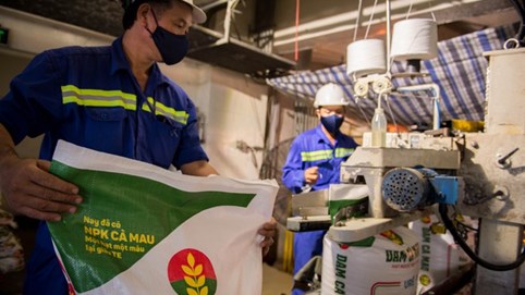 Đạm Cà Mau dự kiến lãi 657 tỷ đồng năm 2020, tăng 42%