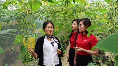 Agribank - Doanh nghiệp ESG Việt Nam xanh 2025