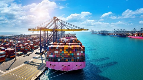 Xuất nhập khẩu Việt Nam 2024: Bức tranh đầy sắc màu