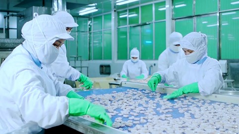 Seadanang: Vì cuộc sống lành mạnh!