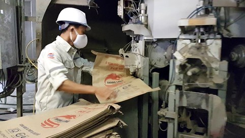 Xi măng Thăng Long: Vươn tới tầm cao mới! 