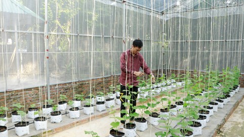 Giải quyết bài toán thực phẩm “bẩn”: Phải thay đổi nền tảng nông nghiệp!