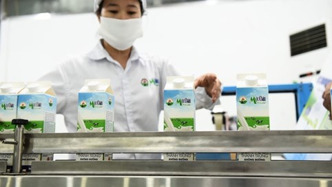 Mộc Châu Milk: Sữa tươi Việt Nam đạt chất lượng quốc tế