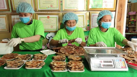 Đồng Tháp: Tập huấn, triển khai các văn bản về an toàn thực phẩm