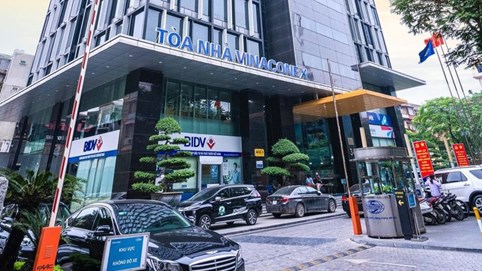 Vinaconex lần đầu lọt Top 50 công ty niêm yết tốt nhất do Forbes bình chọn 