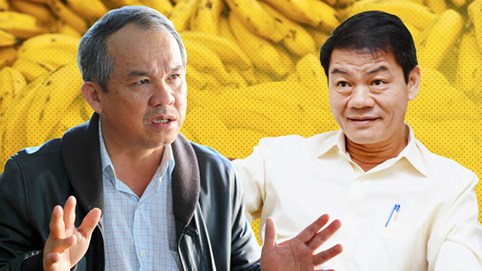 Nhìn lại một thập niên đầy thăng trầm của HAGL Agrico