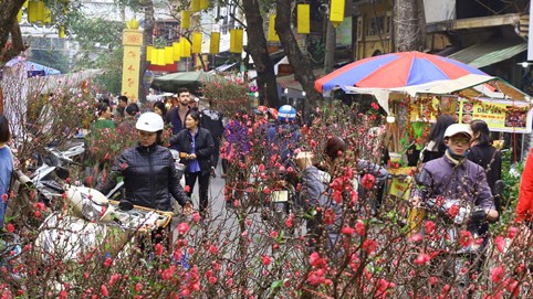 Trung tâm Dự báo KTTV Quốc gia lên tiếng về thông tin Tết Nguyên đán sẽ rét đậm, nhiệt độ trung bình 13 - 17 độ C