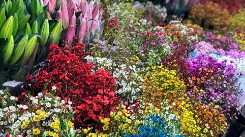 Hoa tươi Trung Quốc lấn át hoa Việt dịp cận Tết