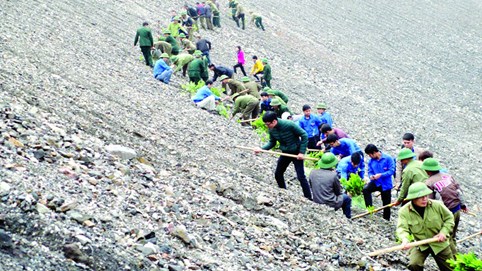 Tổ chức, cá nhân đề nghị thực hiện thẩm định phương án cải tạo, phục hồi môi trường phải nộp phí