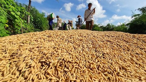 Việt Nam bán nhiều nông sản cho Trung Quốc nhưng chưa hiểu rõ thị trường này