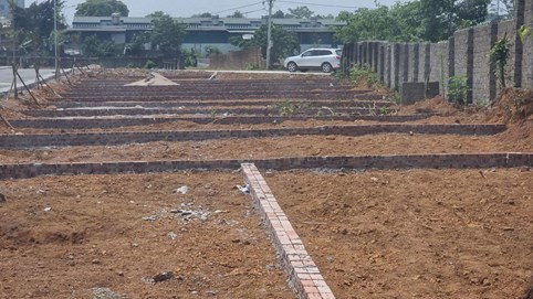 Những lô đất nền từng được nhà đầu tư “săn đón” giờ thành nơi tập kết rác, thả trâu bò