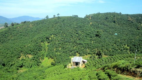 Nhà đầu tư vỡ mộng làm giàu ở thị trường bất động sản Bảo Lộc